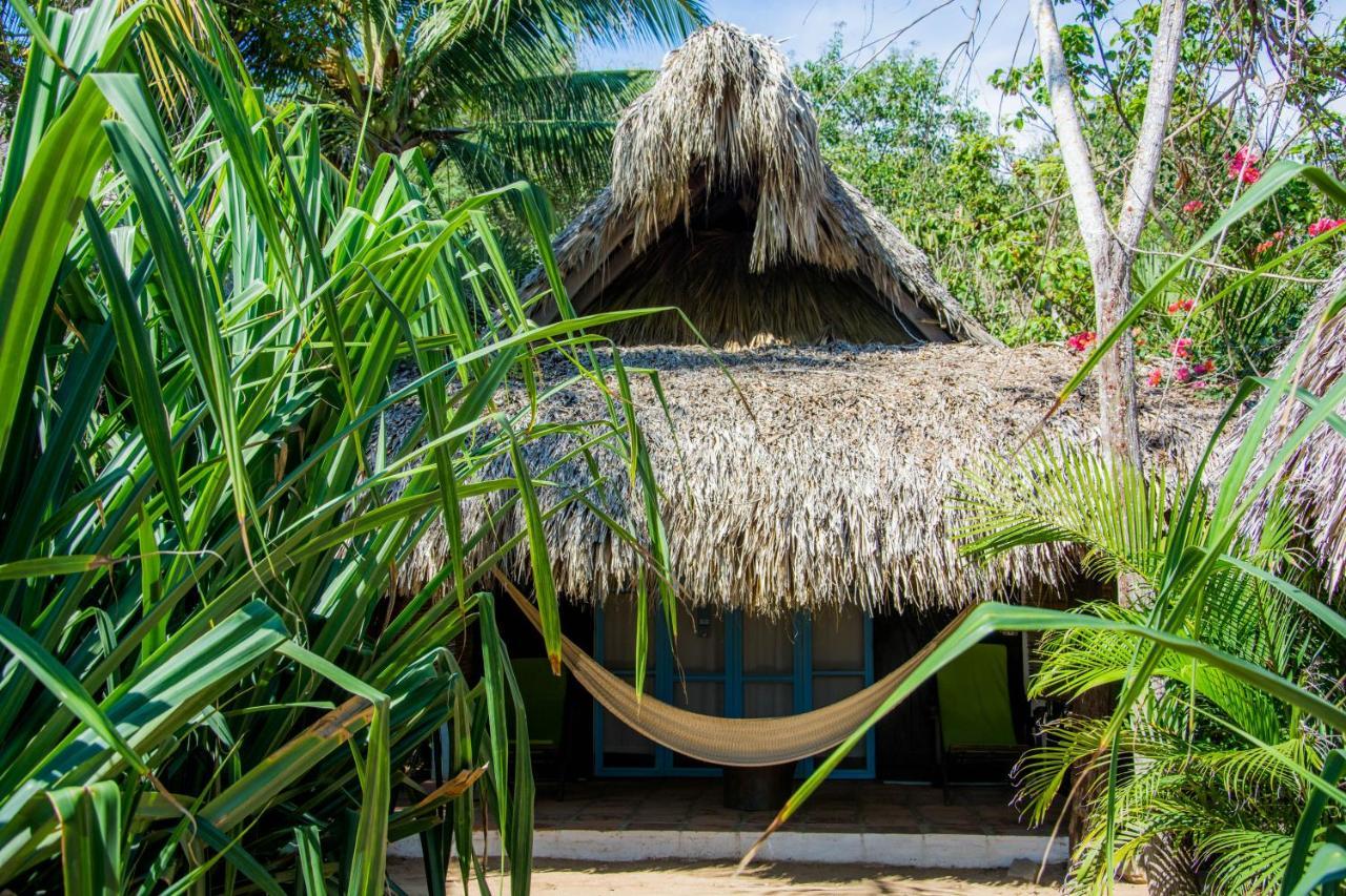 El Alquimista Yoga 4* Zipolite